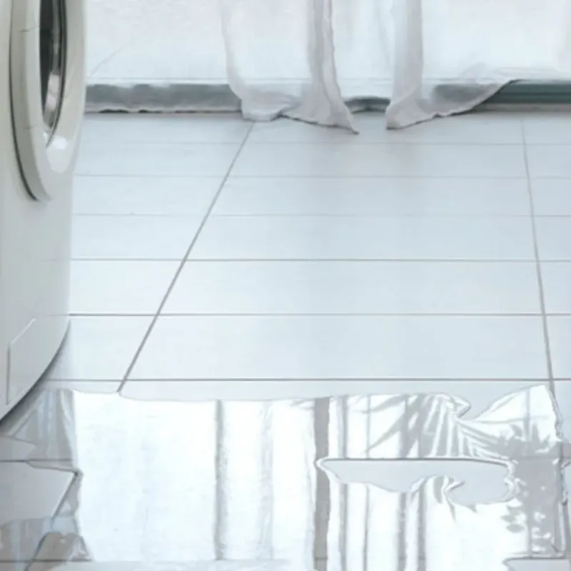 Appliance Leak Cleanup in Benton Heights, MI