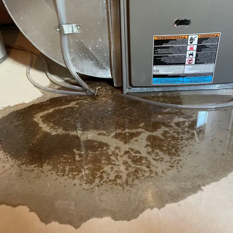 Pipe Burst and Leak Restoration in Benton Heights, MI
