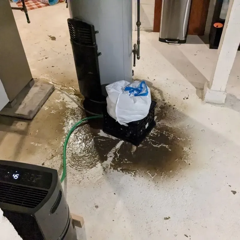 Sewage Backup Cleanup Service in Benton Heights, MI